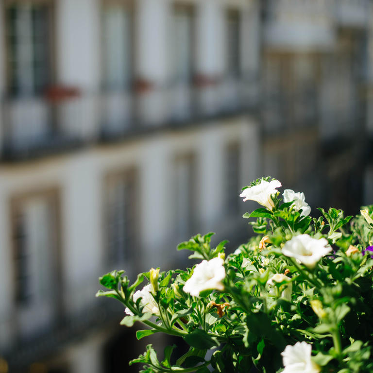 Hotel Arco De Mazarelos Santiago de Compostela Eksteriør billede